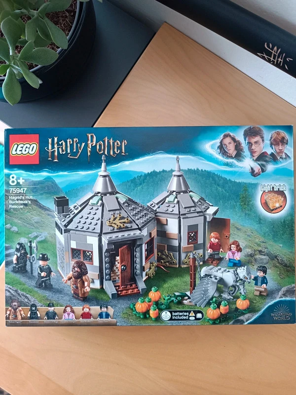 LEGO 75947 Hagridova bouda: Záchrana Klofana
