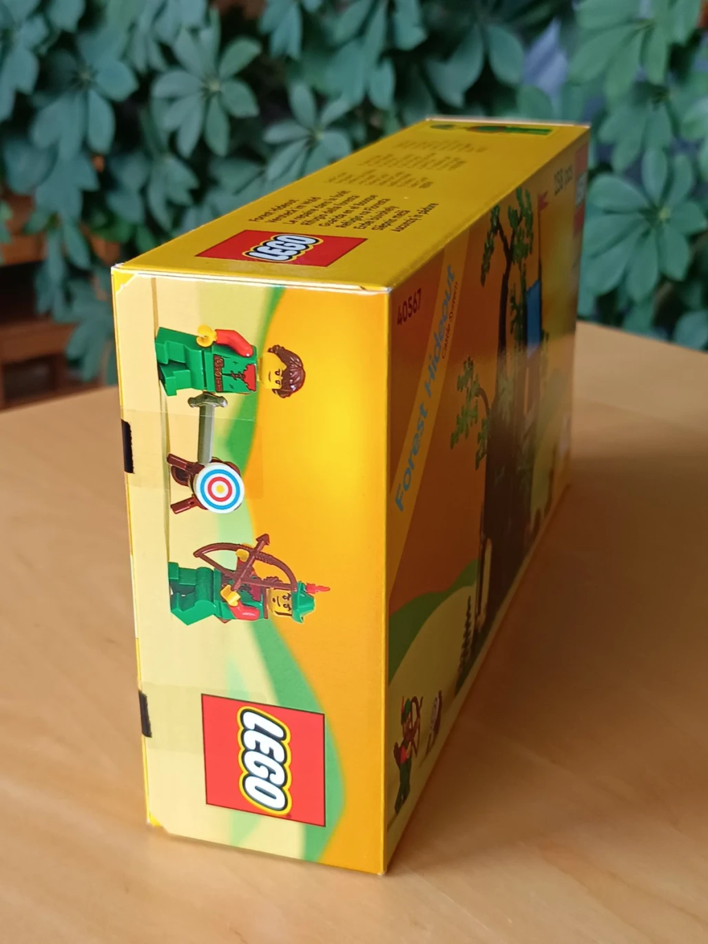 Úkryt lesních zbojníků