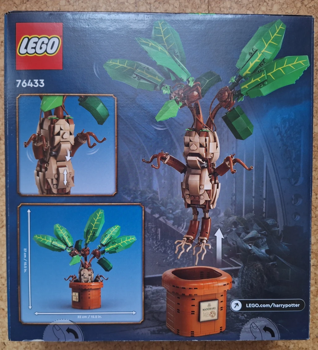 Mandragora
