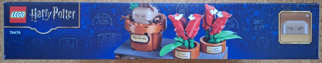 Rostliny z hodiny bylinkářství v Bradavicích