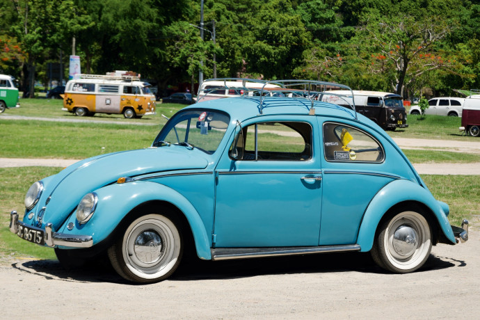 Volkswagen Brouk
