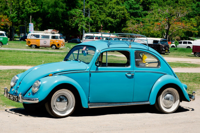 Volkswagen Brouk