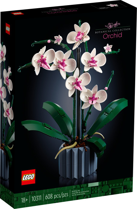 Orchidej