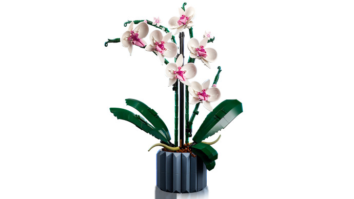 Orchidej