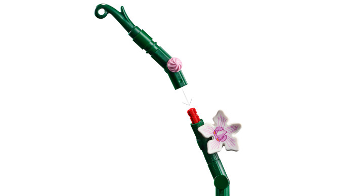 Orchidej