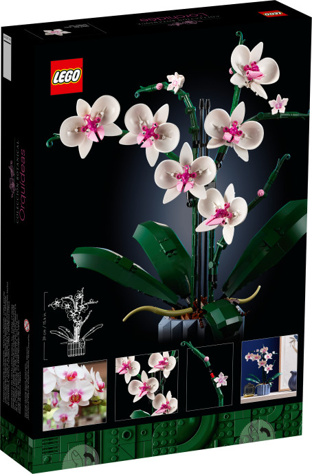 Orchidej