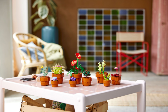 Miniatúrne rastliny