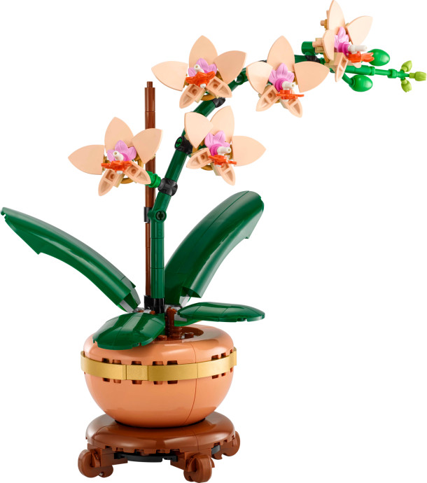 Miniaturní orchidej