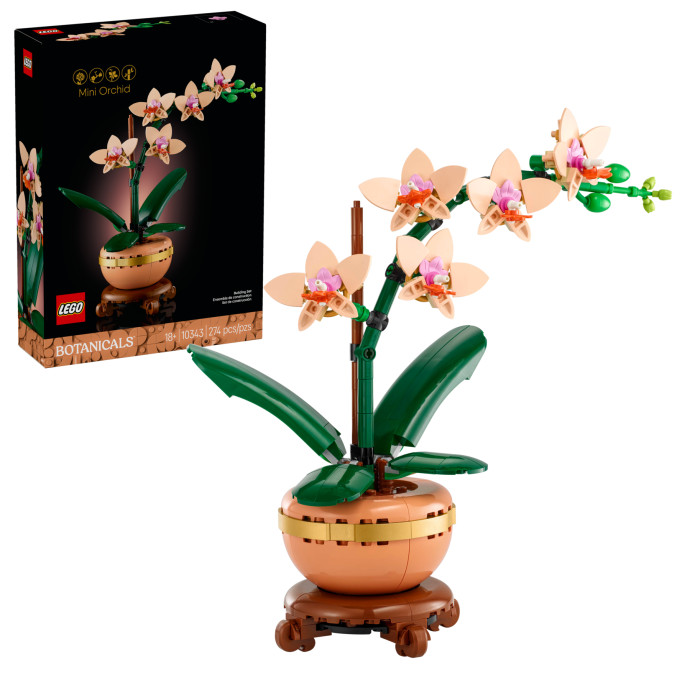 Miniatúrna orchidea