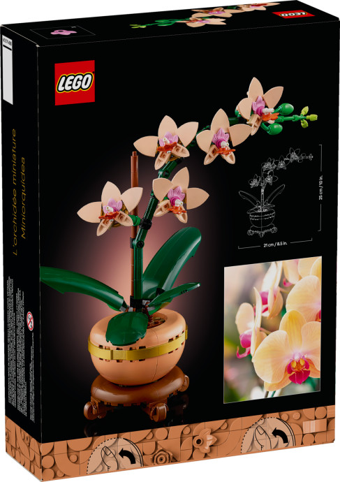 Miniatúrna orchidea