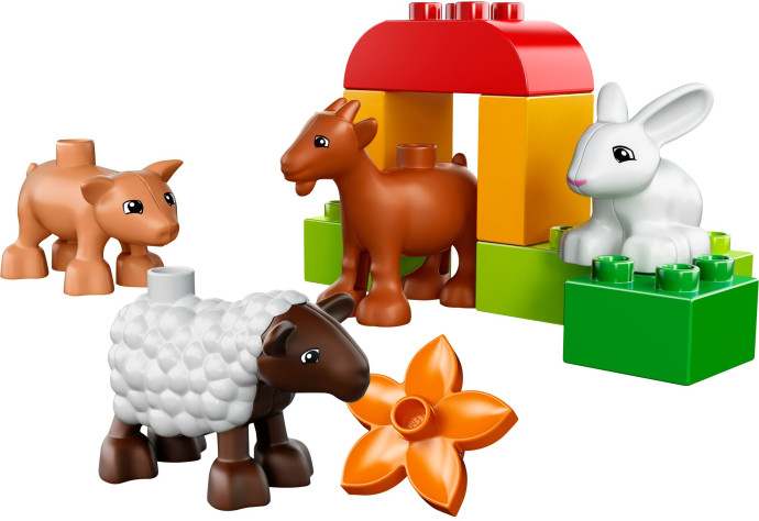 Farm Animals