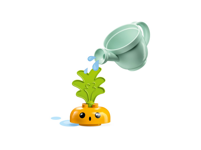 Pěstování mrkve