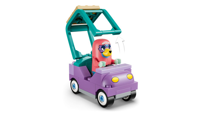 Babičky s Bingo a Bluey