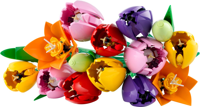 Kytice tulipánů