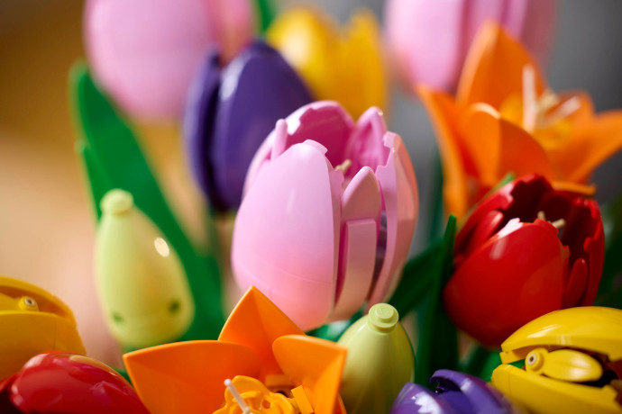 Kytica tulipánov