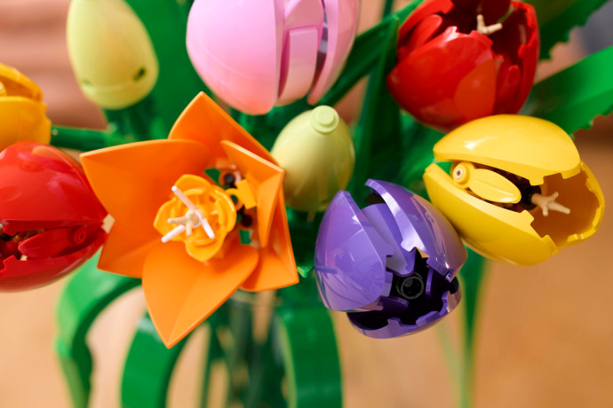 Kytica tulipánov