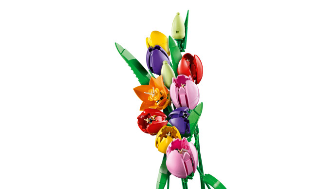 Kytica tulipánov