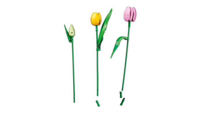 Kytica tulipánov