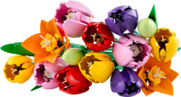 Kytice tulipánů