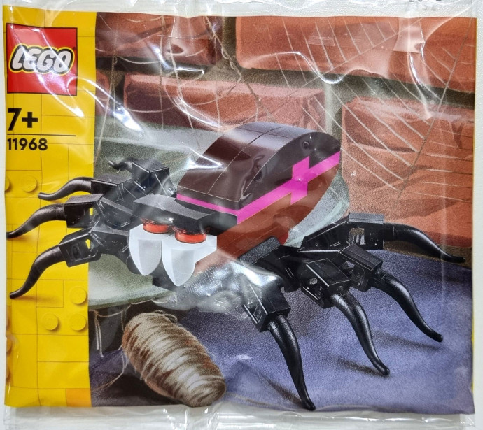 Spider