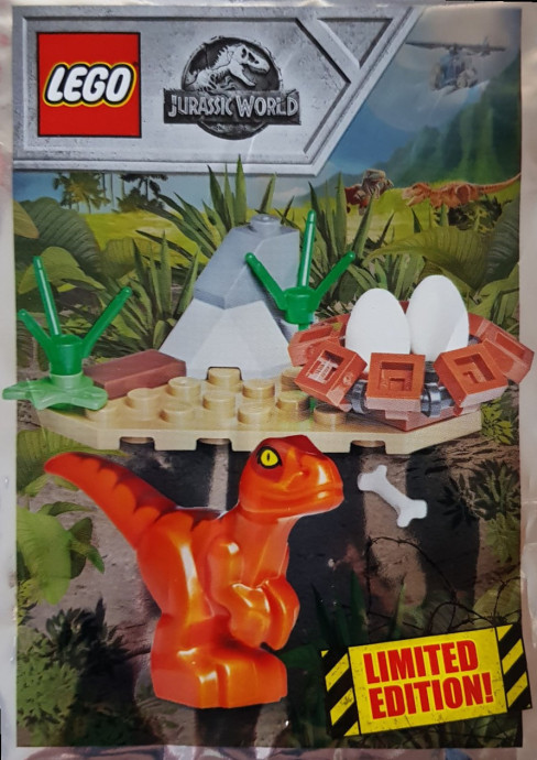 Baby Raptor and Nest