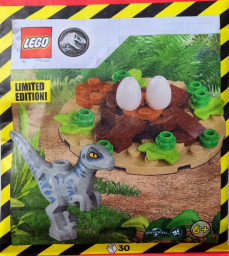 Raptor with nest