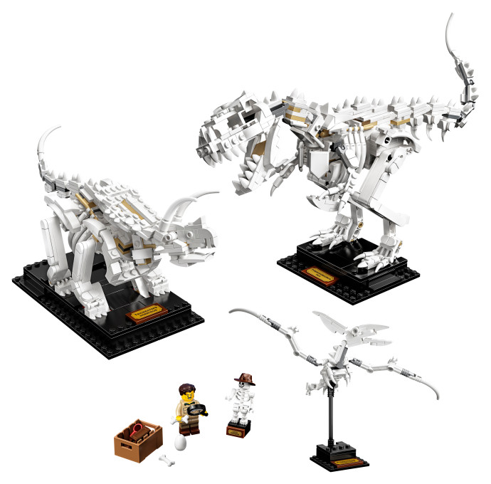 Dinosauří fosilie