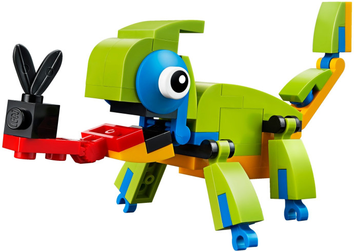 Barevný chameleon