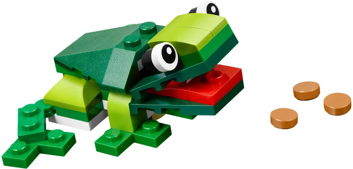 Rainforest Animals