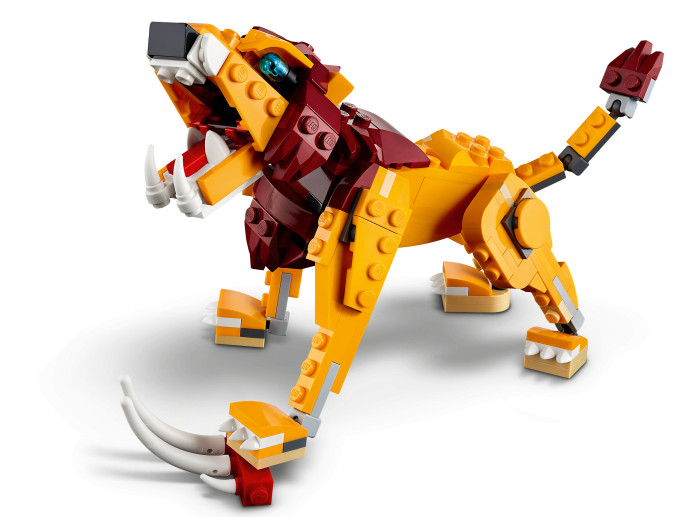 Wild Lion