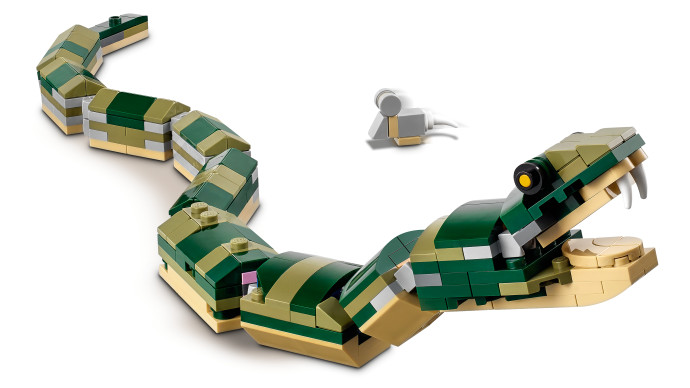 Crocodile