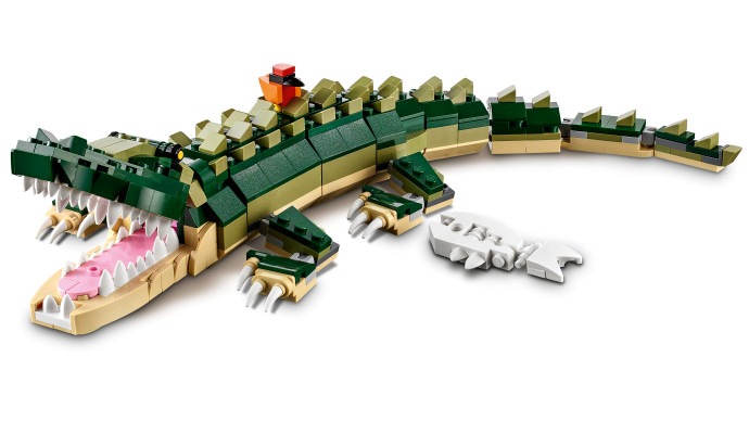 Crocodile