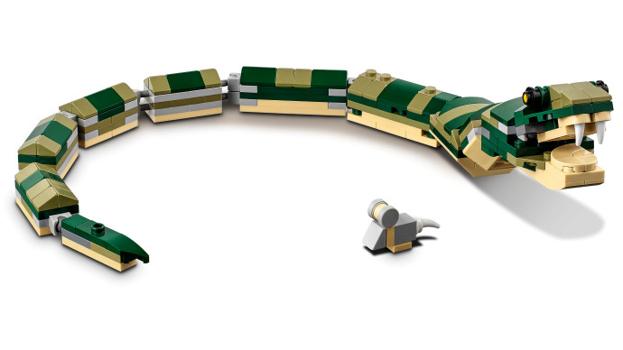 Crocodile
