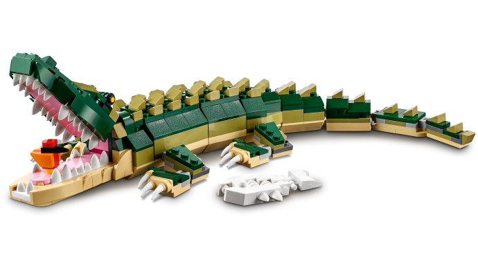 Crocodile
