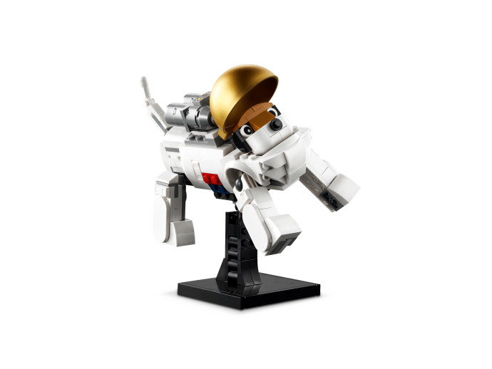 Astronaut