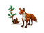 Lesné zvieratá: Červená líška