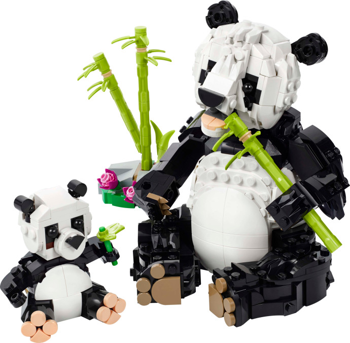 Divoká zvířata: Pandí rodinka