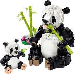 Divoká zvířata: Pandí rodinka
