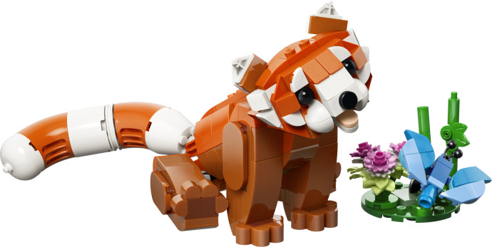 Roztomilé zvieratká: Panda červená