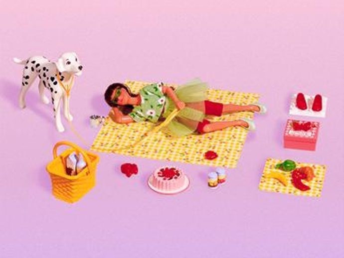 Julie's Picnic Lunch