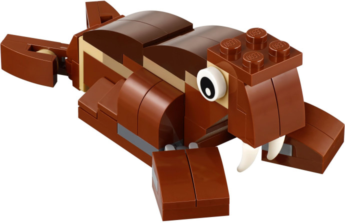 Walrus