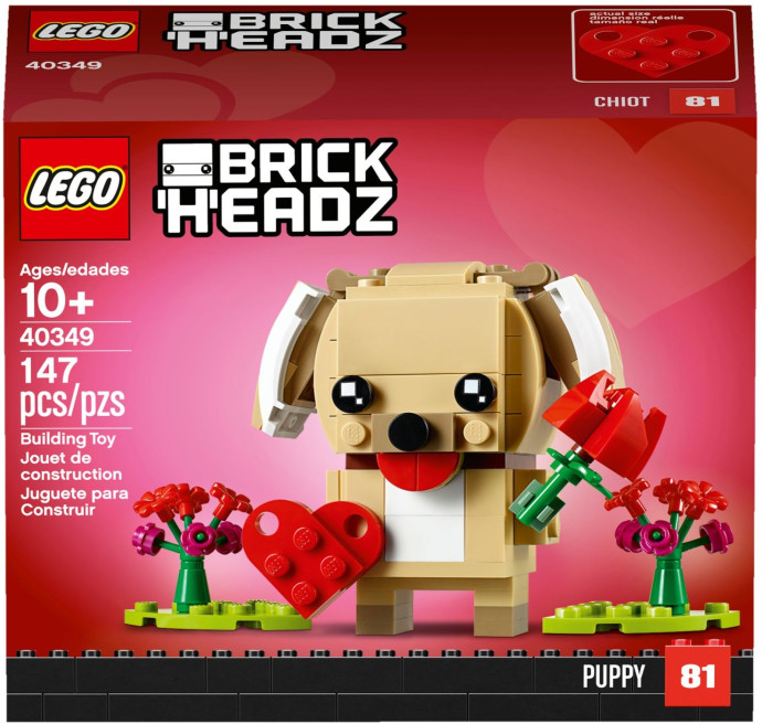 Valentine's Puppy