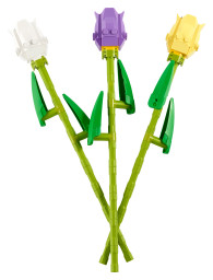Tulipány