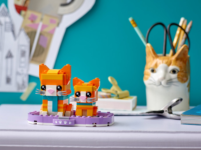 Ginger Tabby