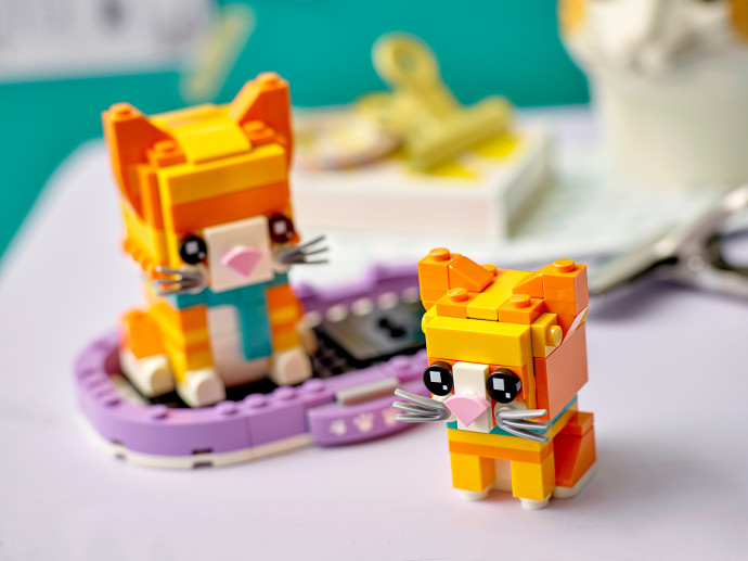 Ginger Tabby