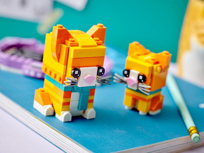 Ginger Tabby