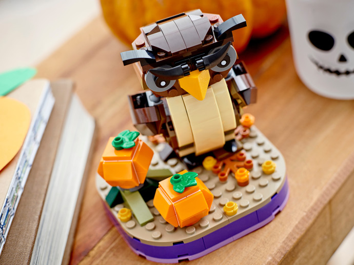 Halloween Owl