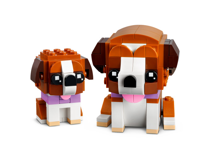 St. Bernard