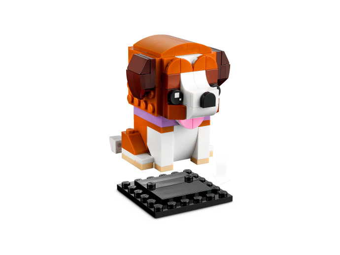 St. Bernard