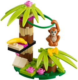 Banánovník pro orangutany